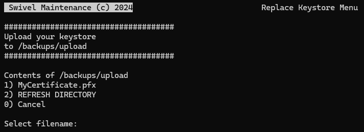 List of files in the backups upload directory available for import