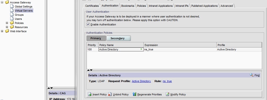 CAG EE configure access gateway virtual server Add Primary.jpg